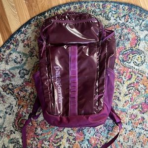 Purple Patagonia Black Hole 25 L backpack